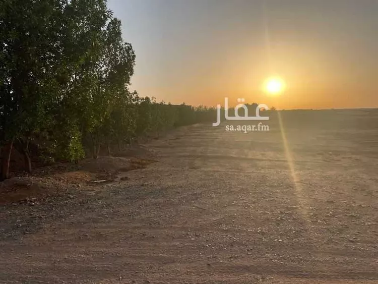 أرض للإيجار في ذهبان ، جدة صورة 2