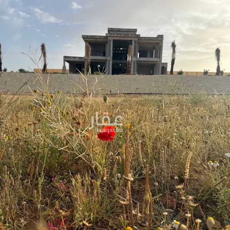 مزرعة للبيع في حي الغماس ، بريدة ، بريدة صورة 4