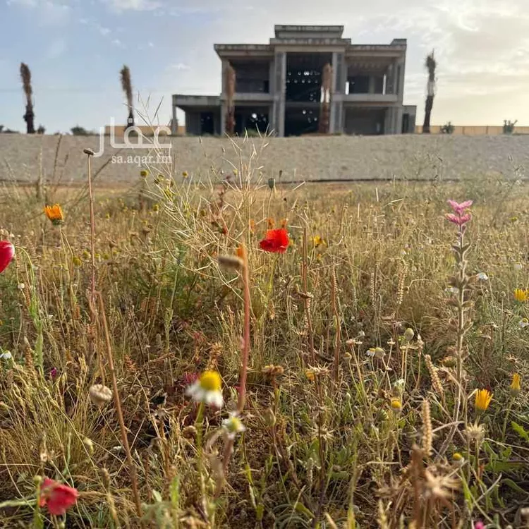 مزرعة للبيع في حي الغماس ، بريدة ، بريدة صورة 3