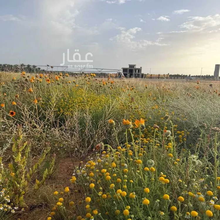 مزرعة للبيع في حي الغماس ، بريدة ، بريدة صورة 2