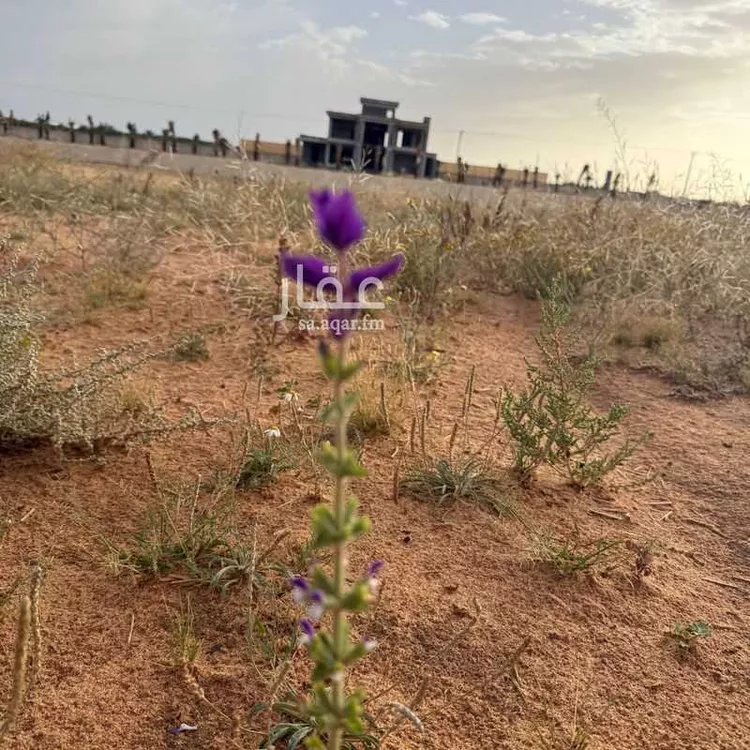 مزرعة للبيع في حي الغماس ، بريدة ، بريدة