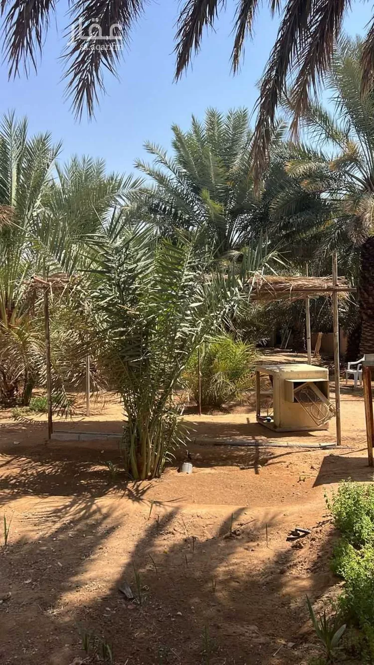 Farm for Sale in As Sulayyil Ad Deerah صورة 2
