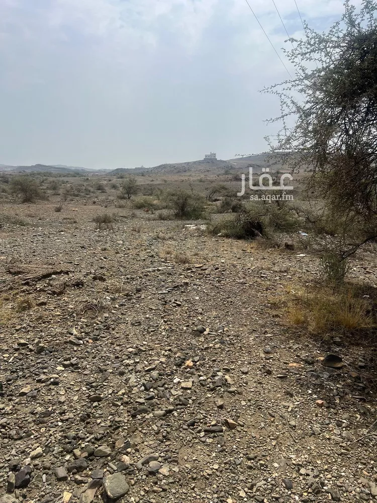أرض للبيع في حي الموسم, مدينة ابها, منطقة عسير صورة 2