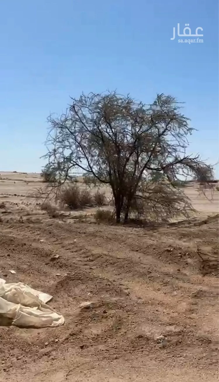 أرض للبيع في مدينة دحله بن سرور, منطقة عسير صورة 2