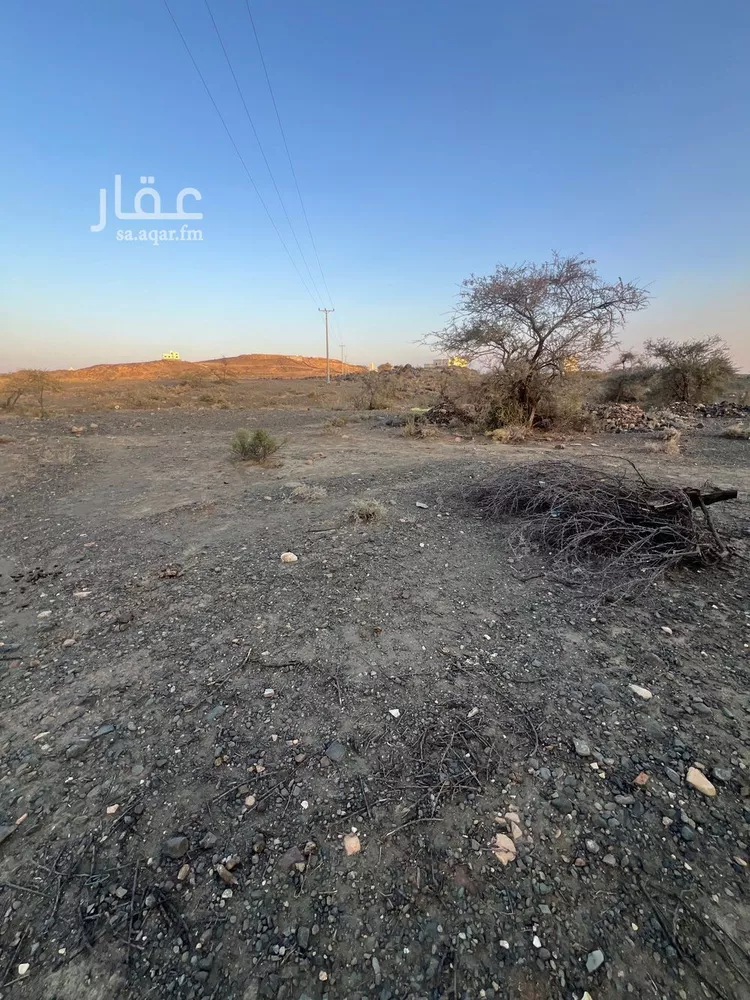 أرض للبيع في حي الموسم, مدينة أبها, منطقة عسير صورة 2