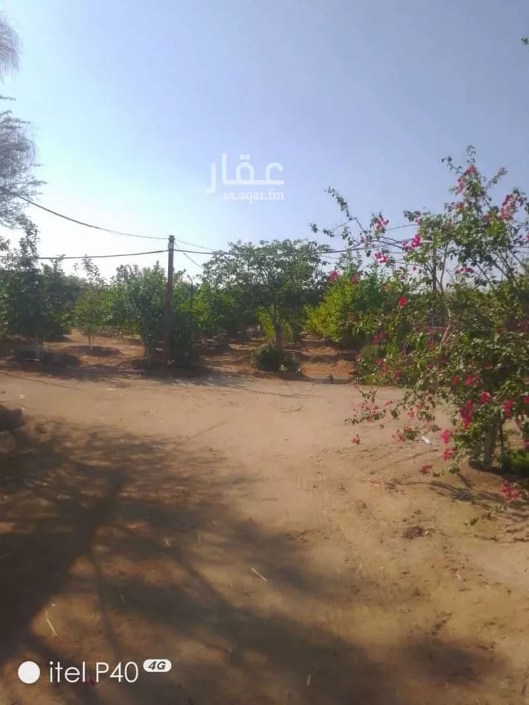 مزرعة للبيع في شارع عسفان 1352 ، جدة ، الجموم صورة 4