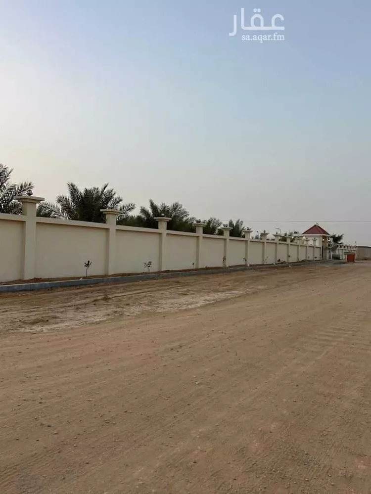 مزرعة للحجز في شارع عبدالرحمن ابن معاذ ابن عثمان, الجديدة صورة 3