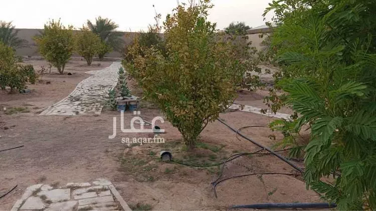 أرض للبيع في شارع القدسية ، الخرج ، الخرج صورة 4