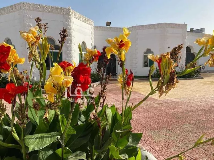 شاليه واستراحة للحجز في شارع نصر الزواوي ، حي بلدة ذهبان ، جدة ، جدة صورة 3