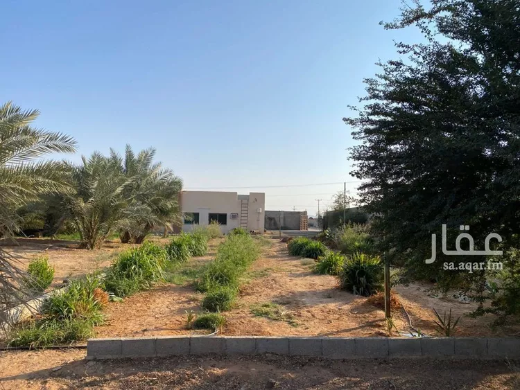 أرض للإيجار في شارع RMUA5344, حي أم الشعال, مدينة الرياض, منطقة الرياض صورة 3