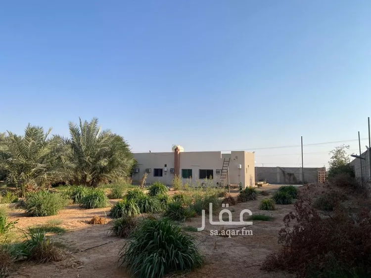 أرض للإيجار في شارع RMUA5344, حي أم الشعال, مدينة الرياض, منطقة الرياض صورة 5