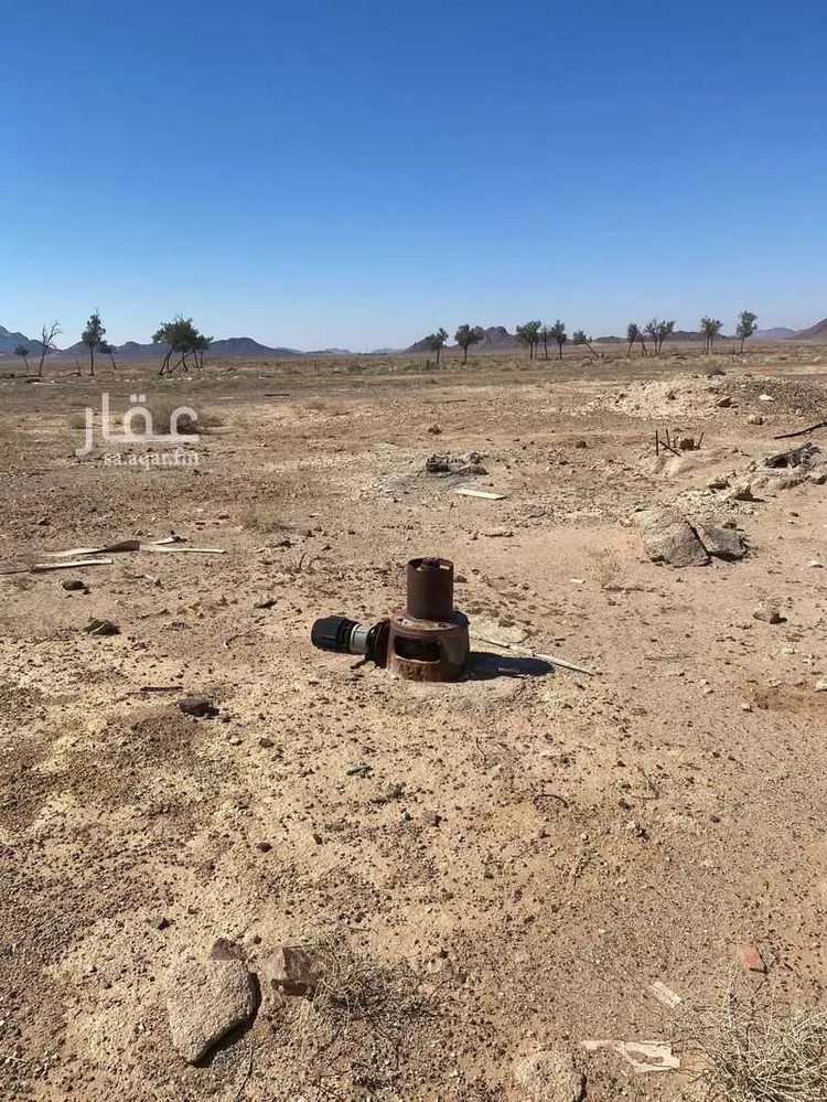 مزرعة للبيع في حي العموده الشماليه والجنوبيه, مدينة العموده الشماليه والجنوبيه, منطقة القصيم صورة 2