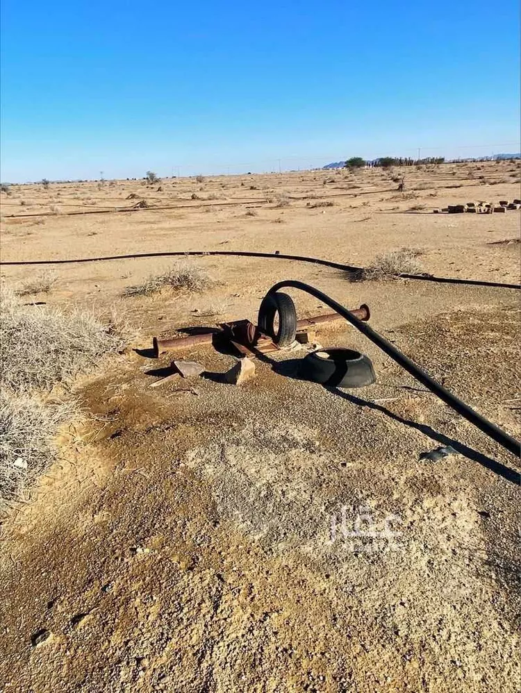 مزرعة للبيع في حي الهبيريه والجريد الشمالي, مدينة الهبيريه والجريد الشمالي, منطقة القصيم صورة 5