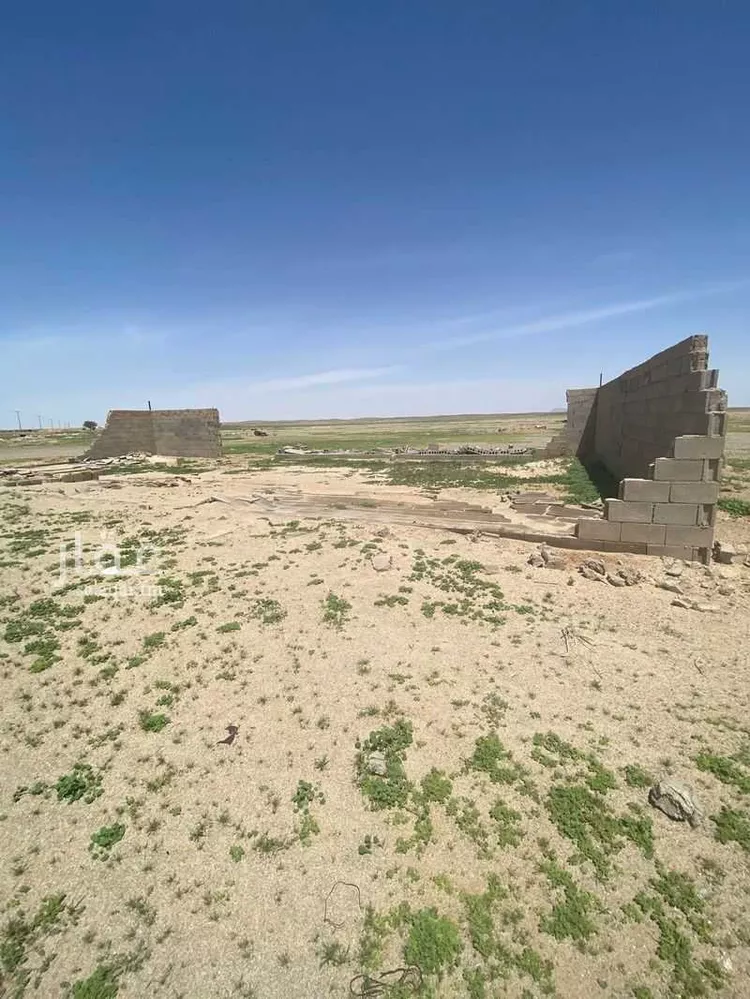مزرعة للبيع في حي النومانيه, مدينة النومانيه, منطقة القصيم صورة 3