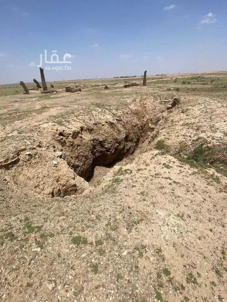 مزرعة للبيع في شارع غير مسمى, مدينة مرغان, منطقة القصيم صورة 4