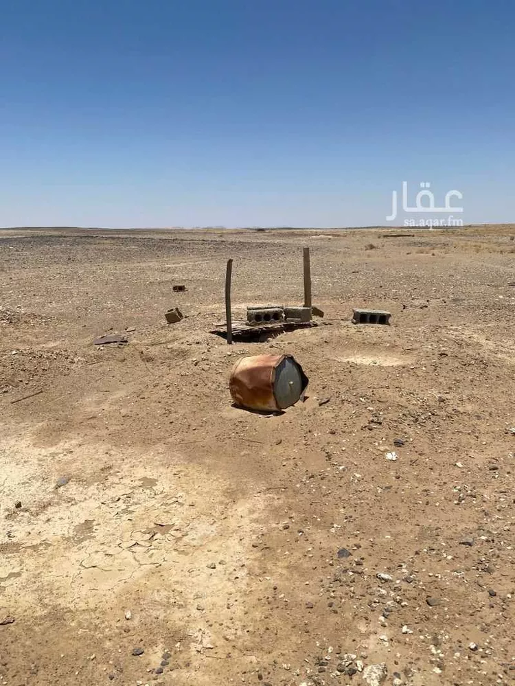 مزرعة للبيع في حي النومانيه, مدينة النومانيه, منطقة القصيم صورة 2