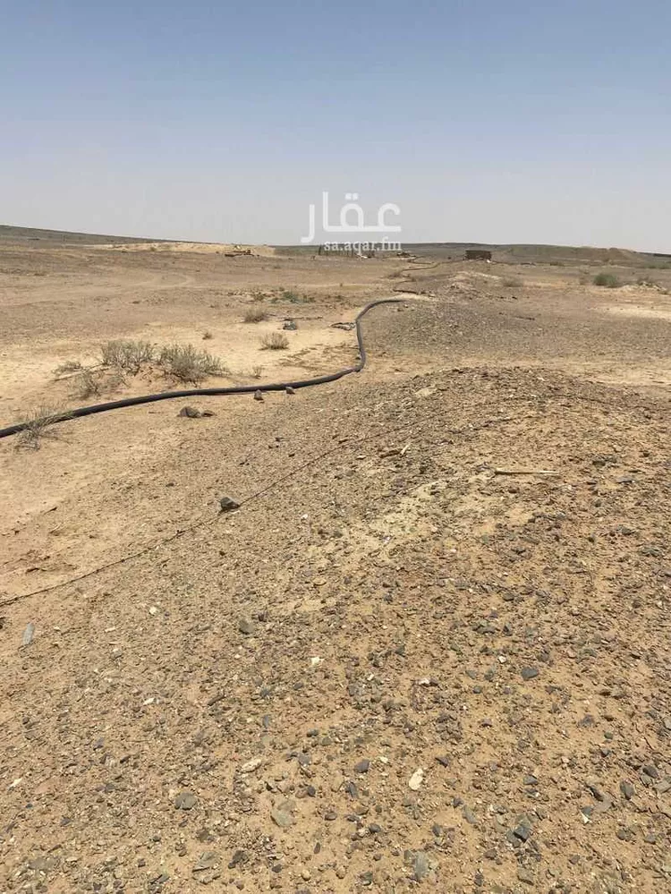مزرعة للبيع في حي العموده الشماليه والجنوبيه, مدينة العموده الشماليه والجنوبيه, منطقة القصيم 6