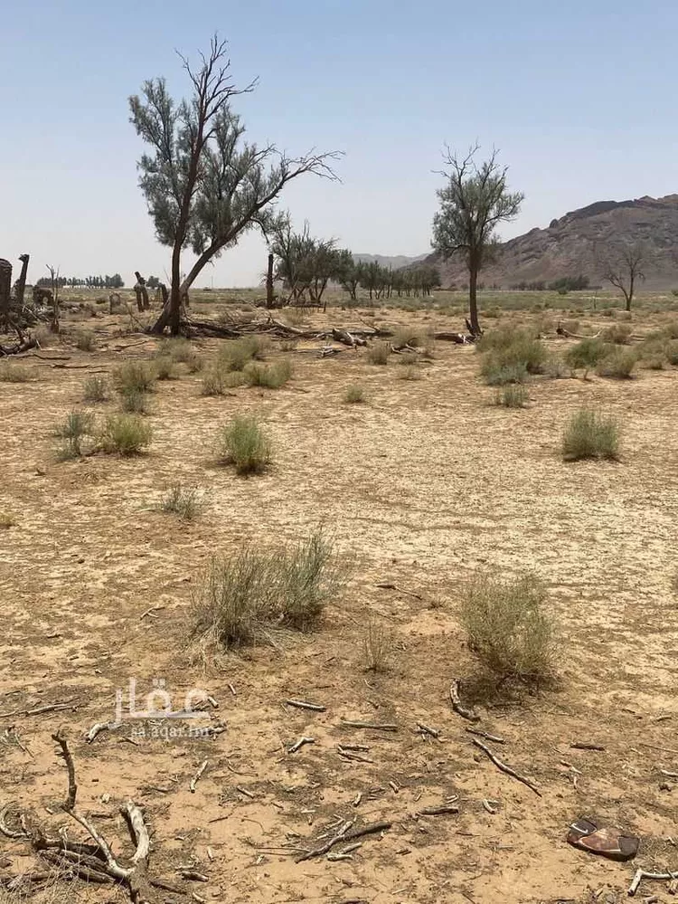 مزرعة للبيع في حي العموده الشماليه والجنوبيه, مدينة العموده الشماليه والجنوبيه, منطقة القصيم صورة 3