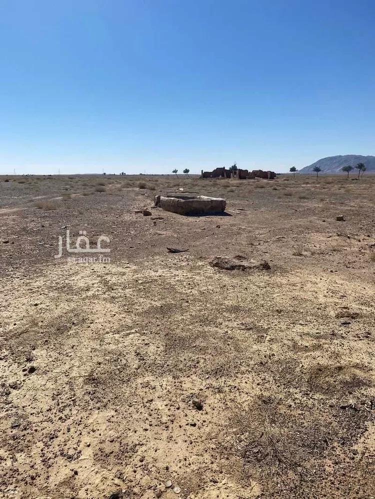 مزرعة للبيع في حي العموده الشماليه والجنوبيه, مدينة العموده الشماليه والجنوبيه, منطقة القصيم صورة 3