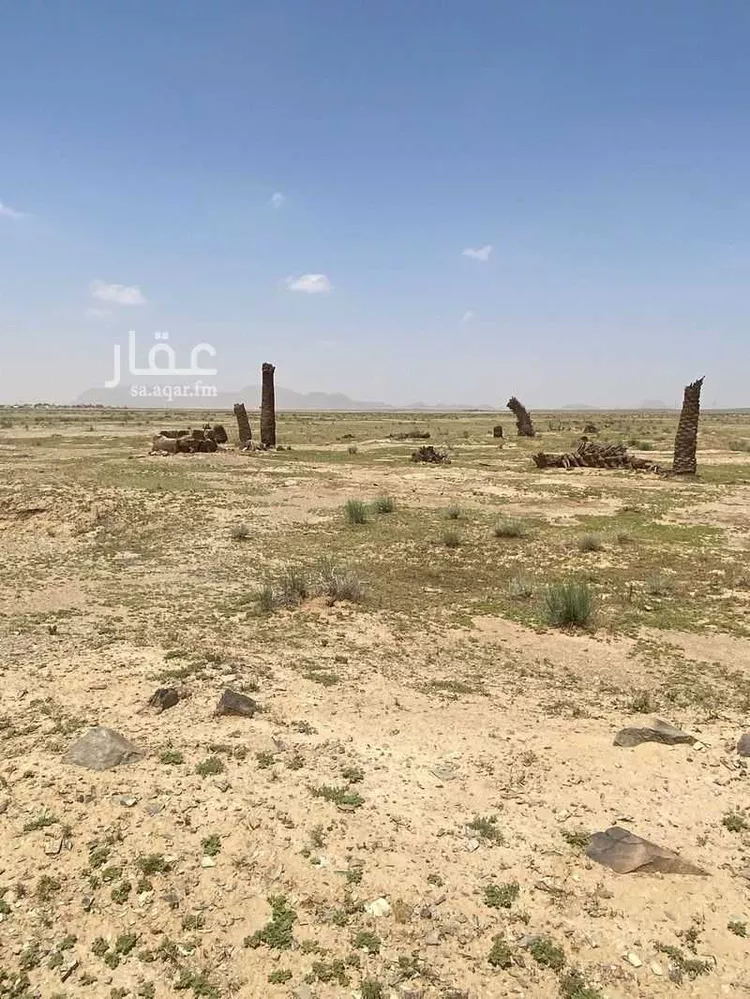 مزرعة للبيع في شارع غير مسمى, مدينة مرغان, منطقة القصيم