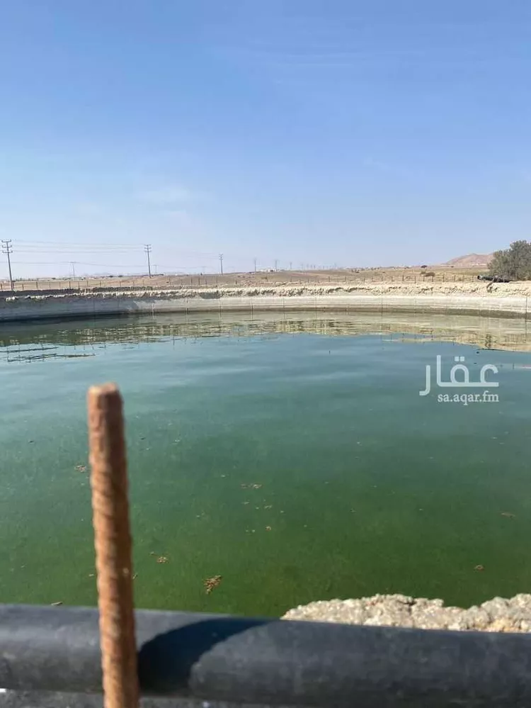 مزرعة للبيع في حي الفوارة, مدينة الفوارة, منطقة القصيم صورة 5