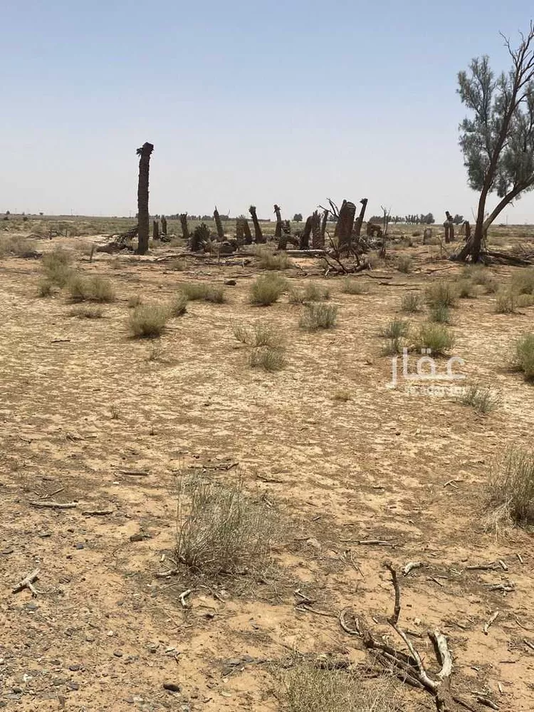 مزرعة للبيع في حي العموده الشماليه والجنوبيه, مدينة العموده الشماليه والجنوبيه, منطقة القصيم 8