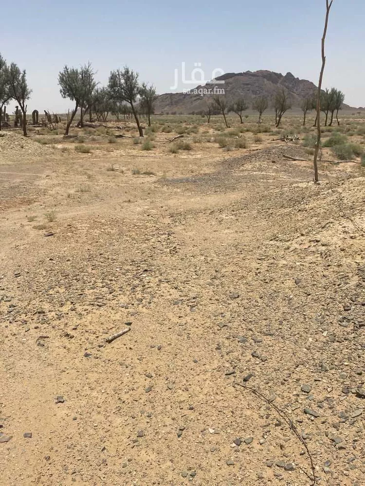 مزرعة للبيع في حي العموده الشماليه والجنوبيه, مدينة العموده الشماليه والجنوبيه, منطقة القصيم صورة 5
