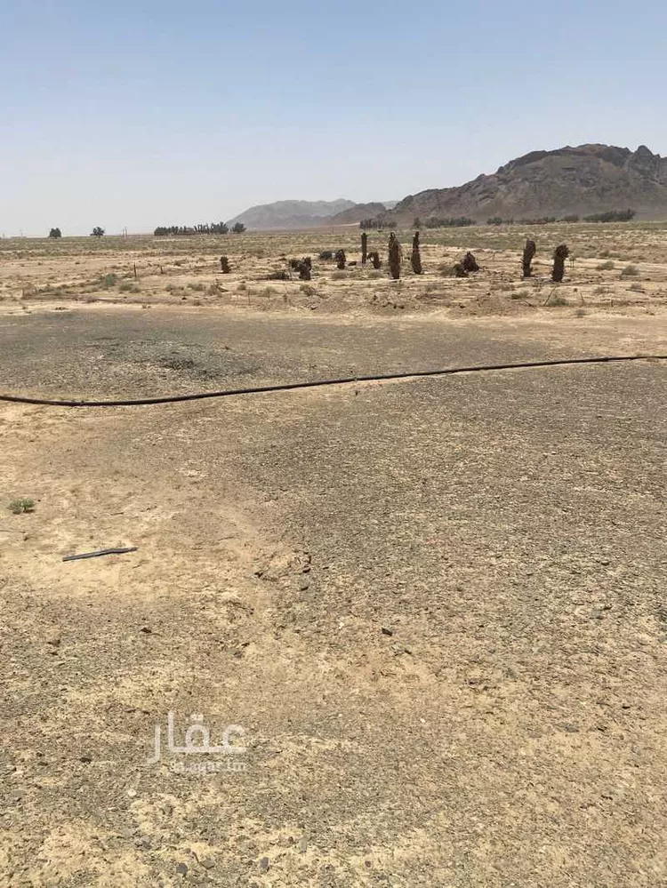 مزرعة للبيع في حي العموده الشماليه والجنوبيه, مدينة العموده الشماليه والجنوبيه, منطقة القصيم 10