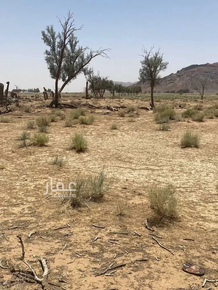 مزرعة للبيع في حي العموده الشماليه والجنوبيه, مدينة العموده الشماليه والجنوبيه, منطقة القصيم