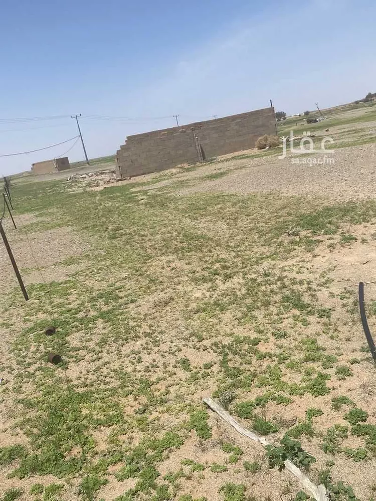 مزرعة للبيع في حي النومانيه, مدينة النومانيه, منطقة القصيم صورة 2