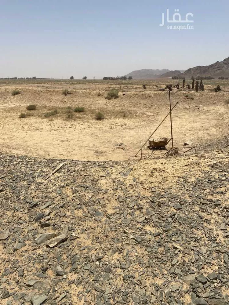 مزرعة للبيع في حي العموده الشماليه والجنوبيه, مدينة العموده الشماليه والجنوبيه, منطقة القصيم 13
