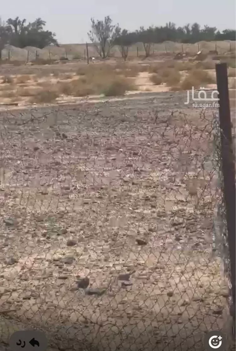 مزرعة للبيع في حي الريان, مدينة عقلة الصقور, منطقة القصيم صورة 3