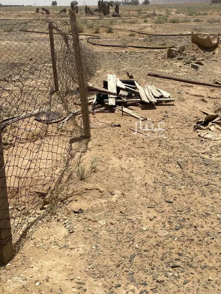 مزرعة للبيع في حي العموده الشماليه والجنوبيه, مدينة العموده الشماليه والجنوبيه, منطقة القصيم 12
