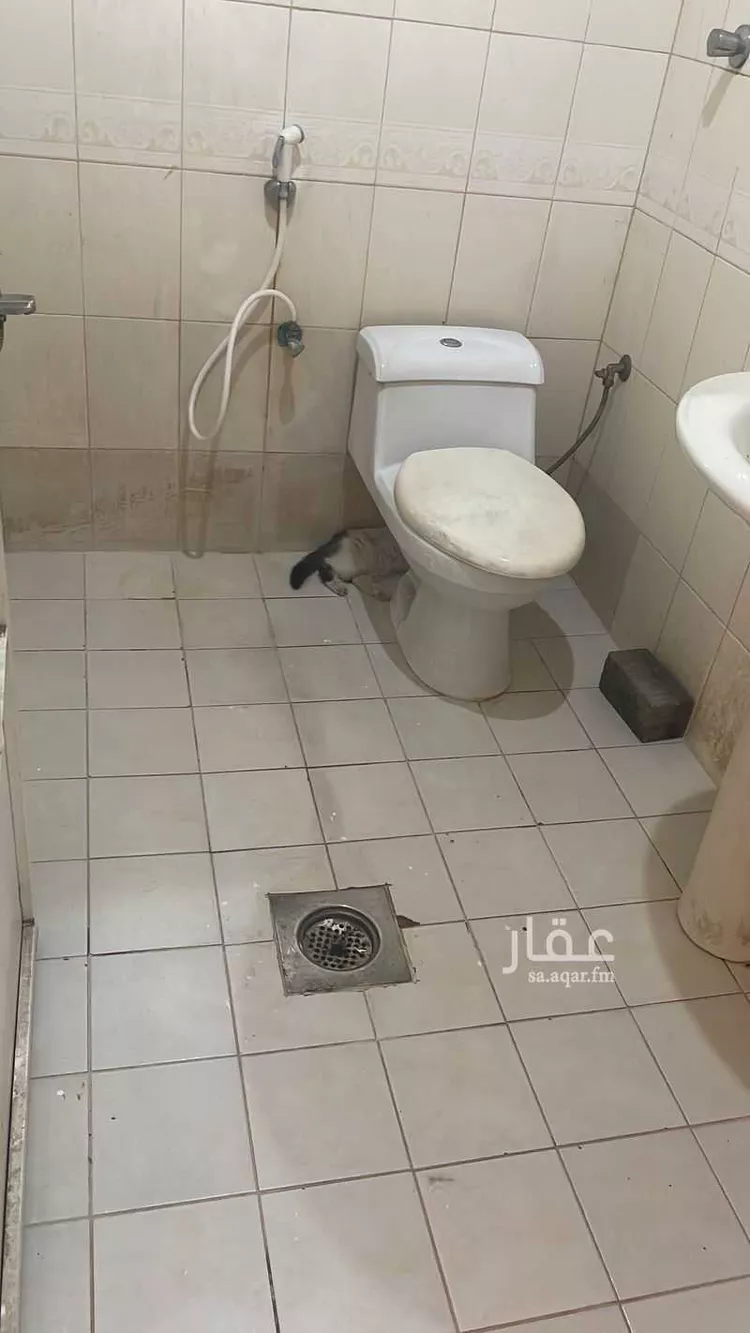 شقة للإيجار في شارع طريق الامير نايف بن عبدالعزيز, حي الروضة, مدينة الدمام, المنطقة الشرقية صورة 3
