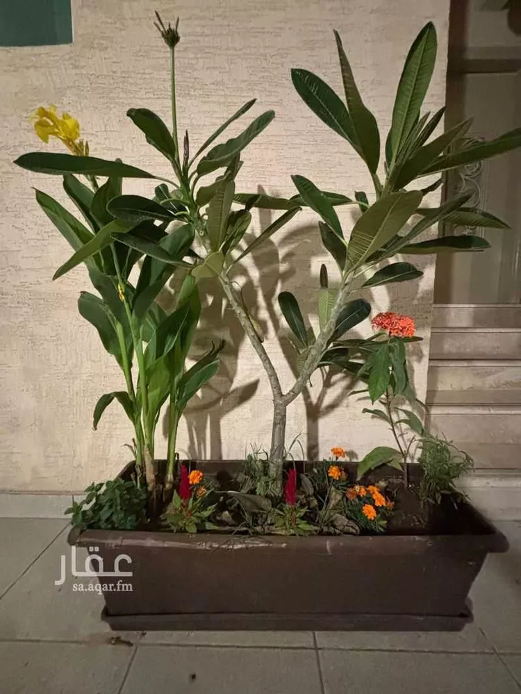 شقة للإيجار في شارع أبي جعفر الأديب, حي العليا, مدينة الرياض, منطقة الرياض صورة 3