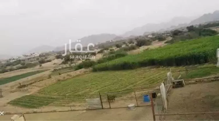 مزرعة للبيع في حي قرن صيدان, مدينة قرن صيدان, منطقة عسير