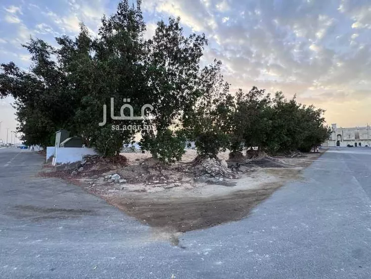 أرض للبيع في شارع يحيى العلمي, حي اللؤلؤ, مدينة جدة, منطقة مكة المكرمة صورة 3