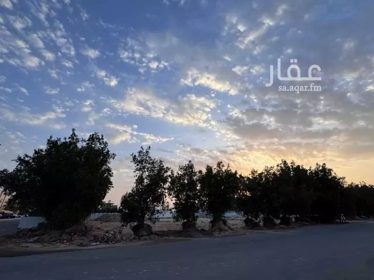 Land for Sale in Jeddah Al Lulu