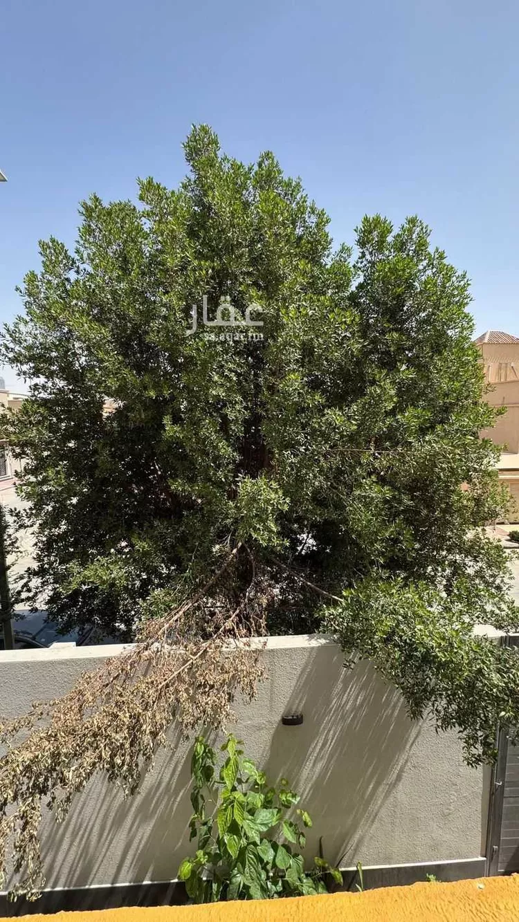 شقة للإيجار في شارع بوضة, حي الخالدية, مدينة الدرعية, منطقة الرياض 12