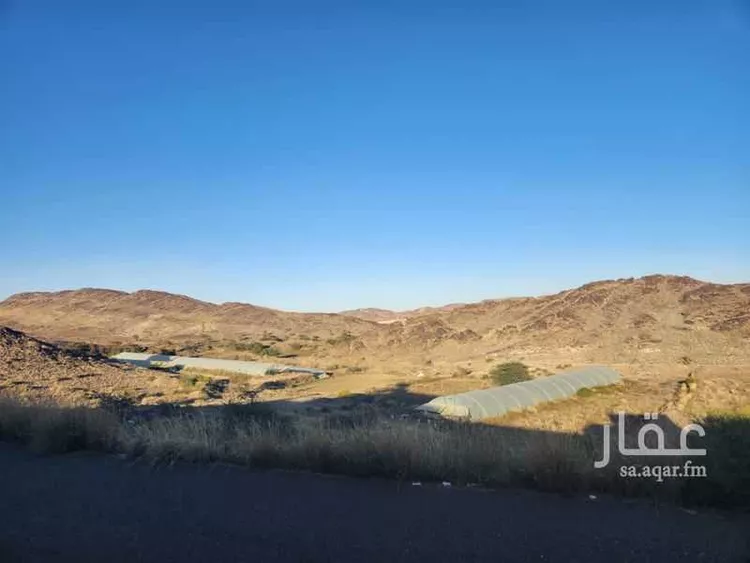 مزرعة للبيع في شارع بني مالك, حي الزين, مدينة ابها, منطقة عسير صورة 2