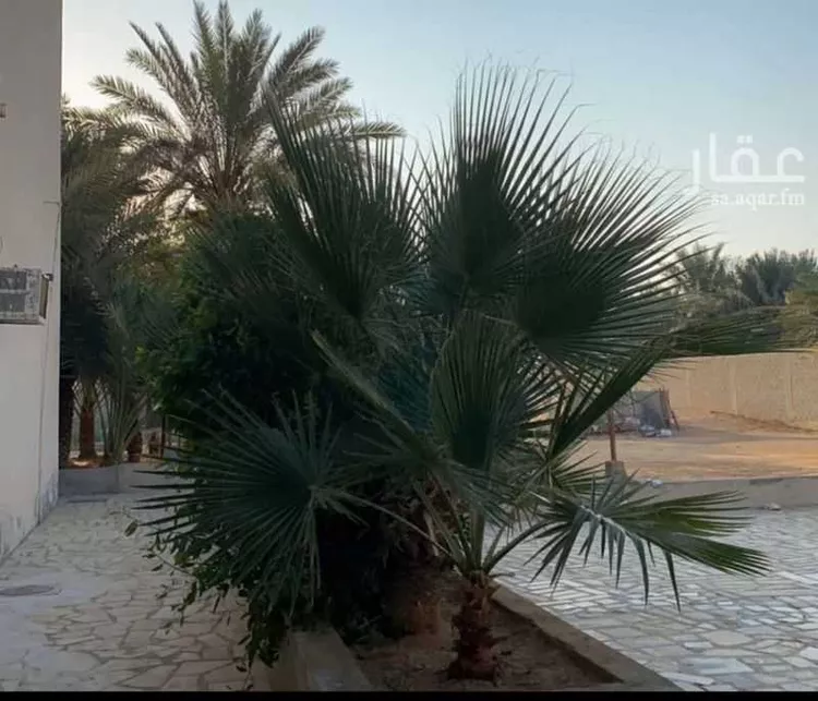 استراحة للبيع في شارع الاحوص الانصاري ، المزاحمية ، المزاحمية صورة 4