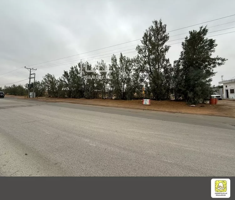 أرض للبيع في شارع 0000, حي الروابي, مدينة بريدة, منطقة القصيم صورة 2