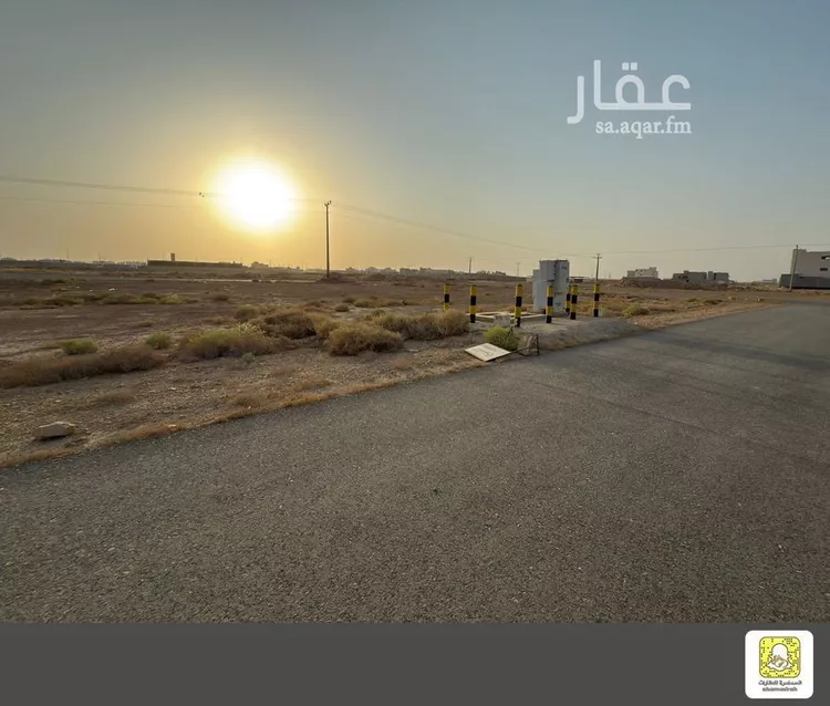 أرض للبيع في شارع 0000, حي الزيتونة, مدينة بريده, منطقة القصيم صورة 2
