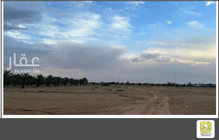 أرض للإيجار في شارع طريق الرياض - القصيم - المدينة السريع, مدينة الغماس, منطقة القصيم صورة 2