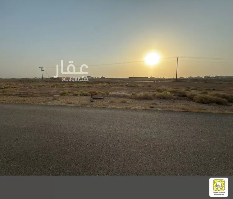 أرض للبيع في شارع 0000, حي الزيتونة, مدينة بريده, منطقة القصيم صورة 3