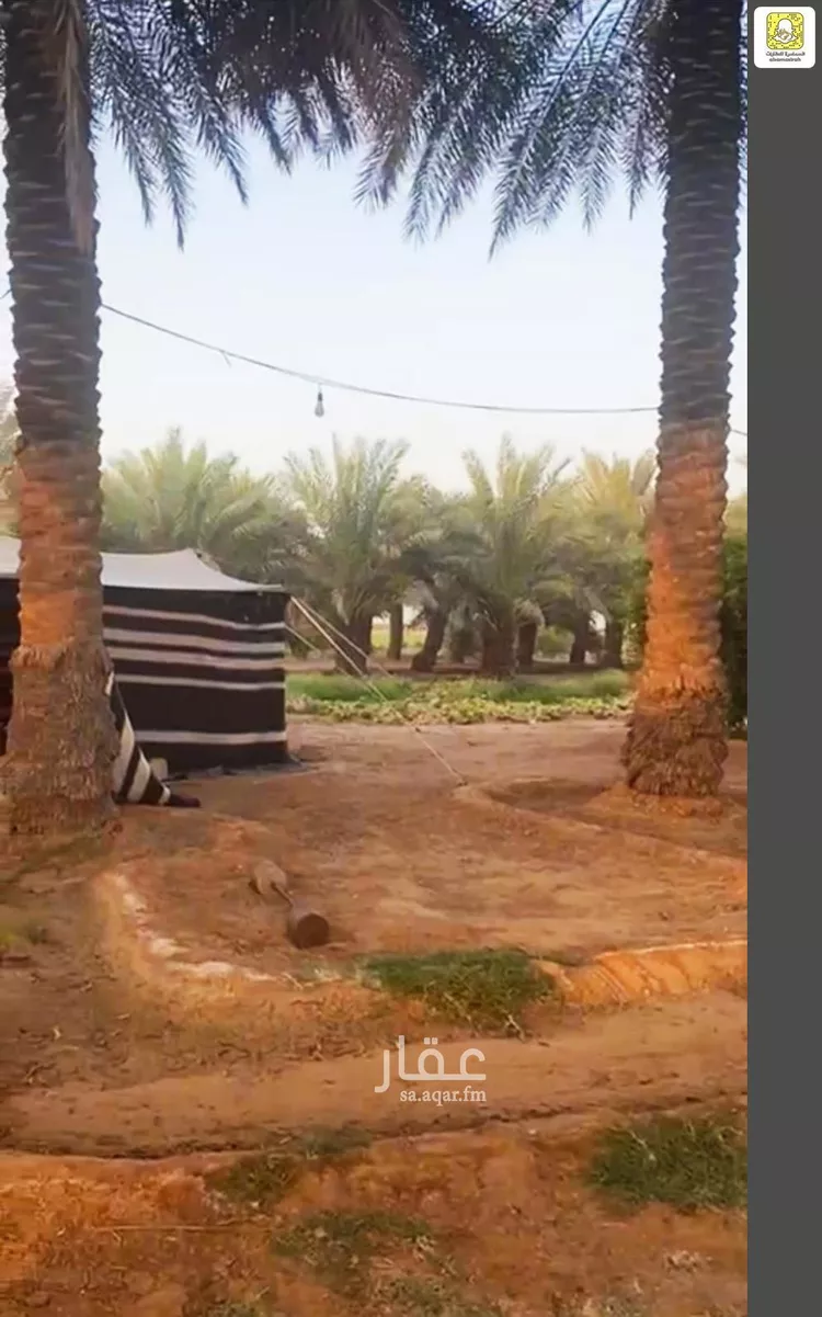 مزرعة للبيع في شارع 0000, مدينة بقعاء, منطقة حائل صورة 4