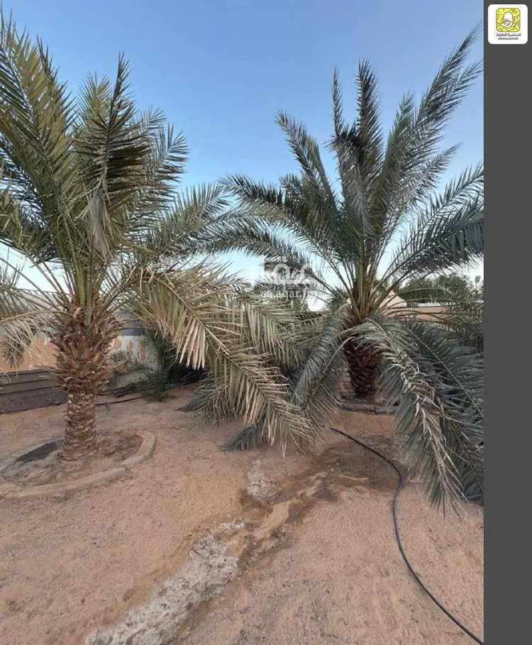 استراحة للبيع في شارع الزرقاء 112, حي الزرقاء, مدينة بريدة, منطقة القصيم 11