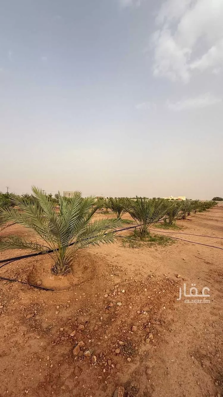 مزرعة للبيع في شارع غير مسمي 1466 1801, حي دقله, مدينة دقله, منطقة الرياض 6