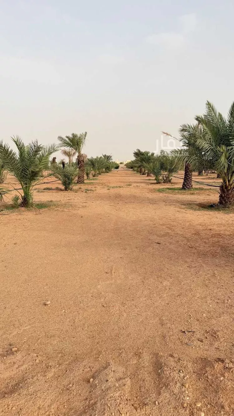 مزرعة للبيع في شارع غير مسمي 1466 1801, حي دقله, مدينة دقله, منطقة الرياض 14