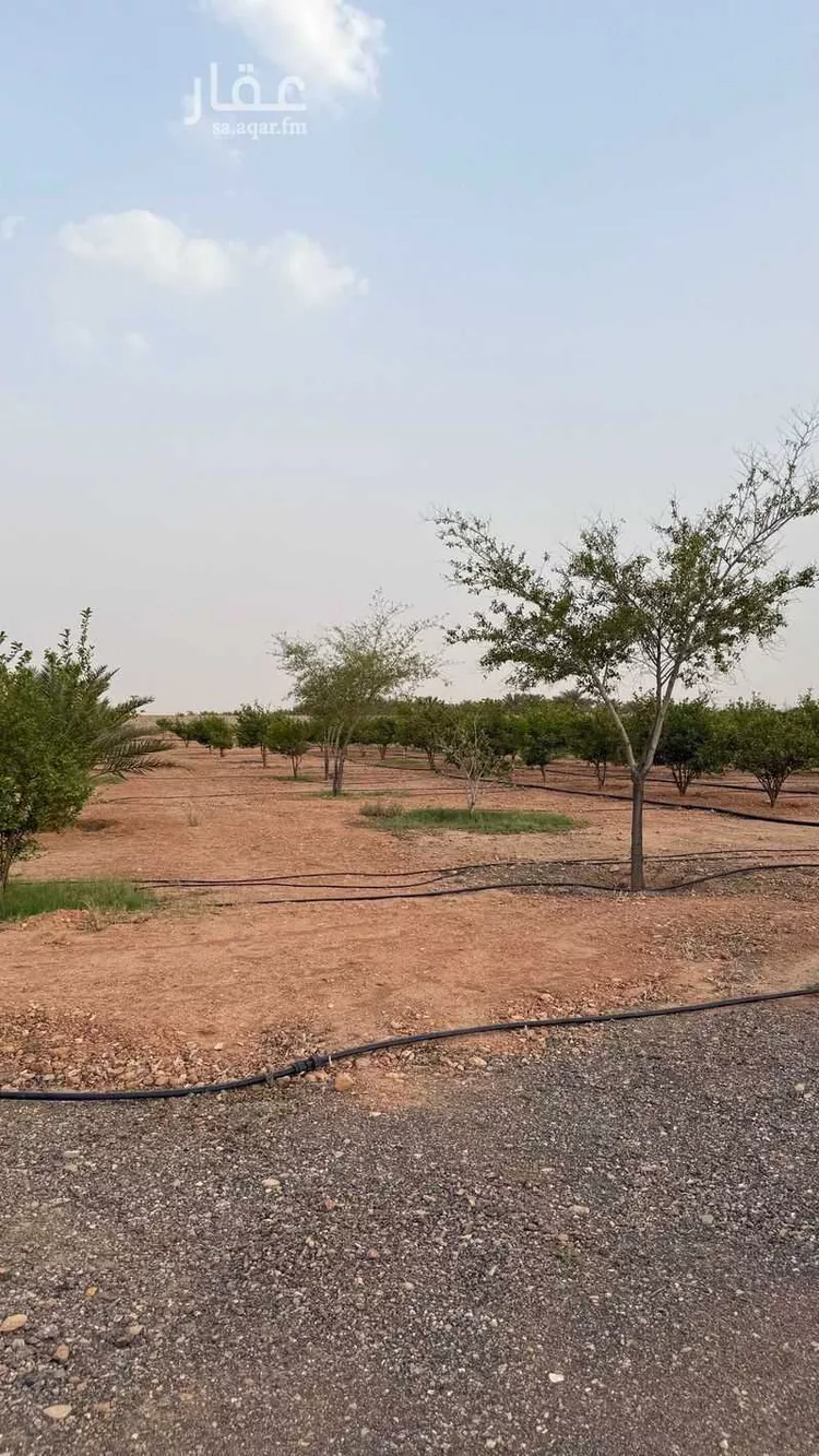 مزرعة للبيع في شارع غير مسمي 1466 1801, حي دقله, مدينة دقله, منطقة الرياض صورة 4